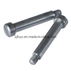 Ss Bolts (FYSF-0035)