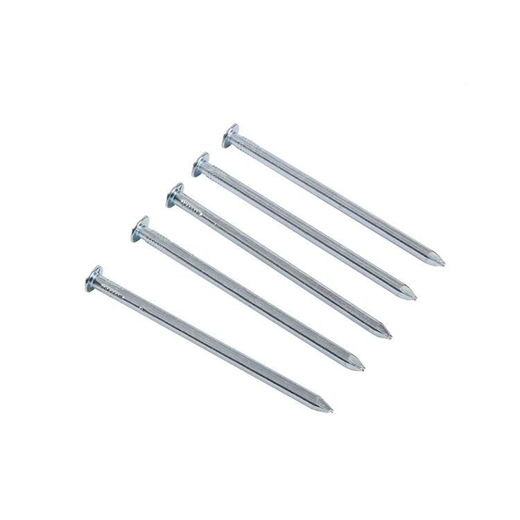 Myanmar Thailand Laos Singapore Market/Electro Galvanized Square Boat Nails for Boat Square Boat Nails