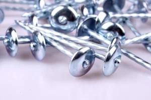 Hot Sale Galvanized Umbrella Head Roofing Nails (Factory)