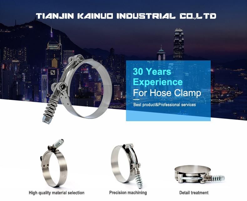 High Pressure Spring Loaded Stainless Steel Constant Tension T-Bolt Clamp for Turbo Automotive, Control Area 67-75mm