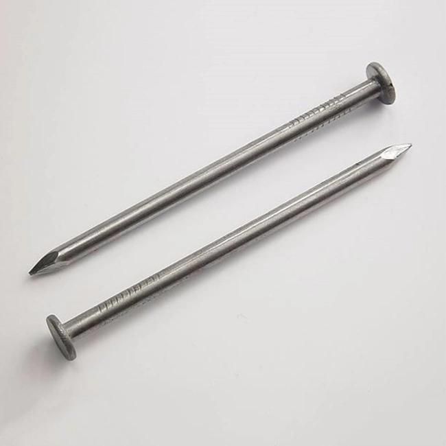 Construction Nails, Steel Concrete Nails, Common Iron Nail for Building Construction