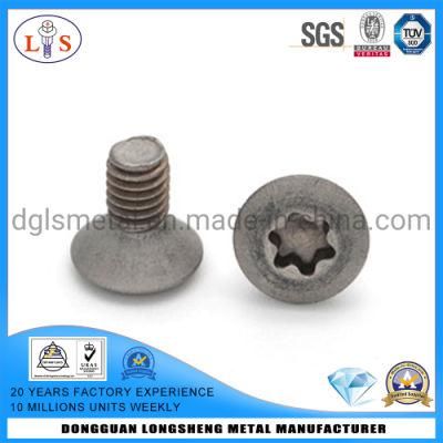 High Quality Round Head Torx 6-Lobular and Phillips Bolt