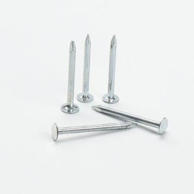 Professional Factory Galvanized Roofing Felt Clout Nail for Construction