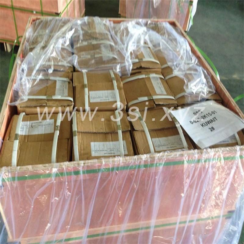 ANSI B16.47 Carbon Steel Blind Flange (YZF-E482)