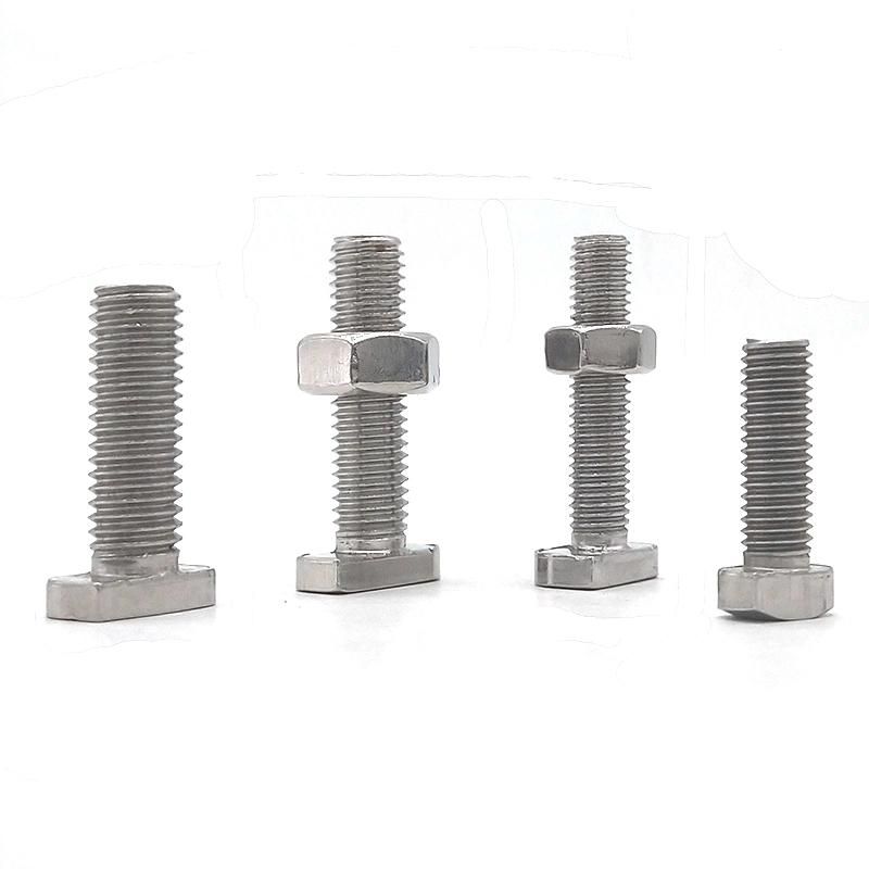 DIN186 Custom Stainless Steel T Bolt
