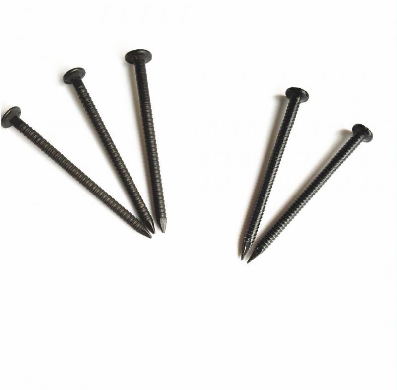 Black Nail Ring Shank Nail Iron Nails Factory Price