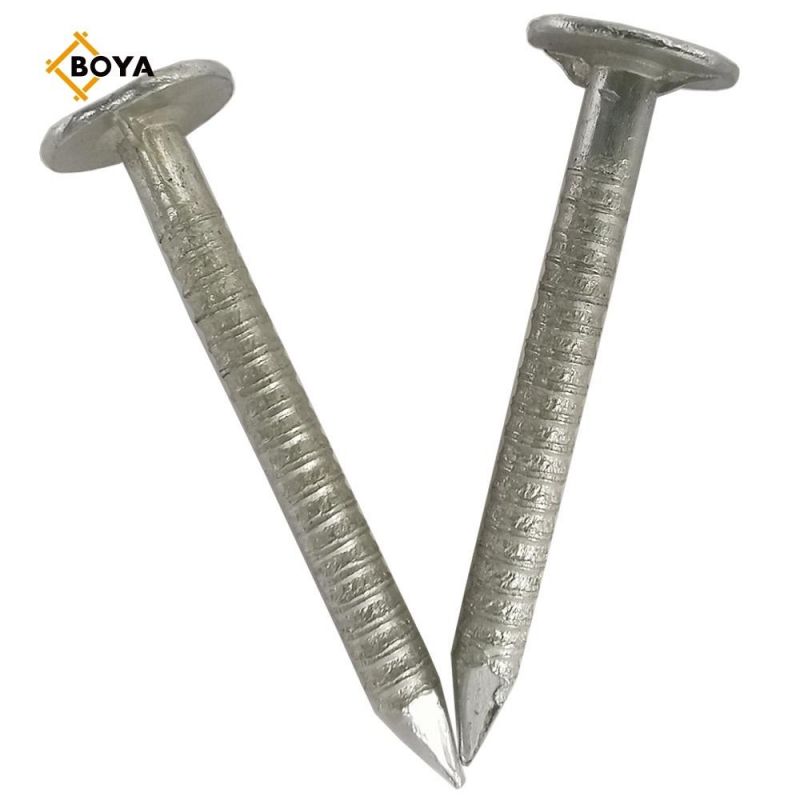 Hot Sale Ring Nail with Competitive Price