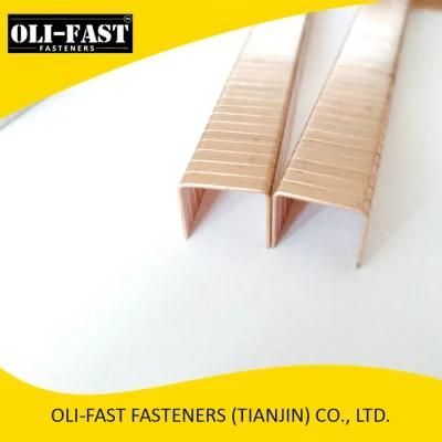 Bostitch Sb103020 Type Staples 1/2&quot; Length. Galv. 2, 500/Box