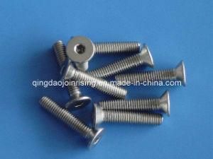 Ss304 Csk Socket Screws