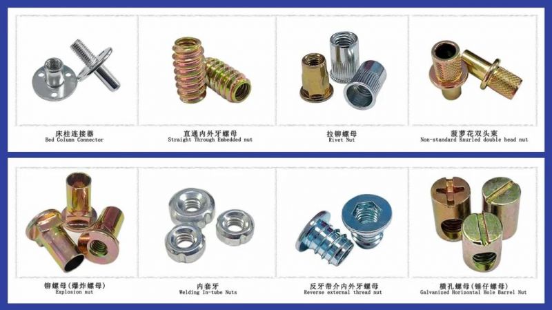 DIN1624 Tee Nuts with Pronge M6 M8 Stainless Steel Porca Carbon Steel 4 Claw Furniture T Slot Nuts Tee Tuerca