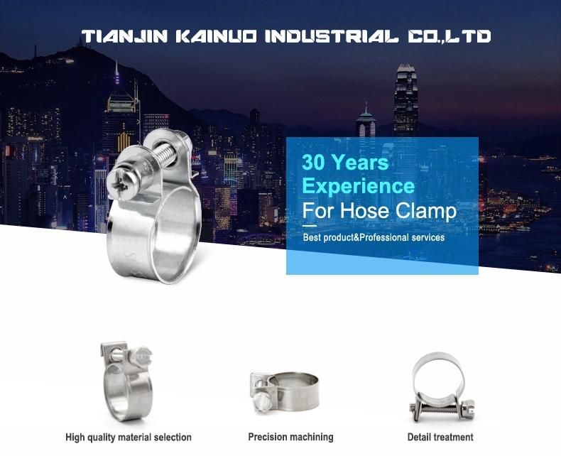 Heavy Duty Bolt and Nut Fuel Stainless Steel Mini Clamp with 9mm Bandwidth, 26-28mm