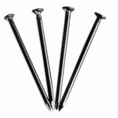 Stainless Steel Nail/Common Nail