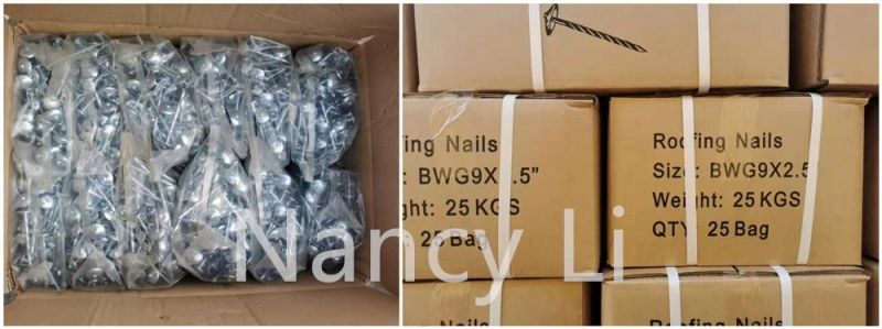 Galvanized Umbrella Roofing Nail Color Zinc Corrugated Nail