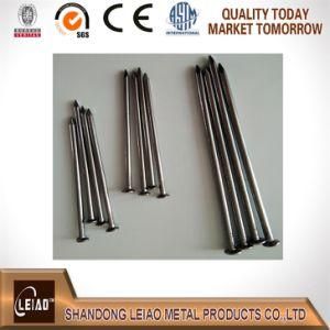 Common Round Nail Bright Polished Made of Iron