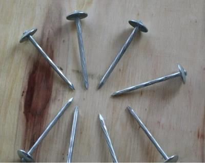Q195 Material Twisted Shank Roofing Nails Umbrella Roofing Nail From China Manufacturer