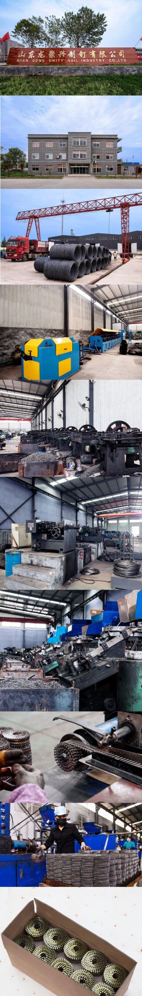 Coil Nails for Wooden Pallets From China Factory