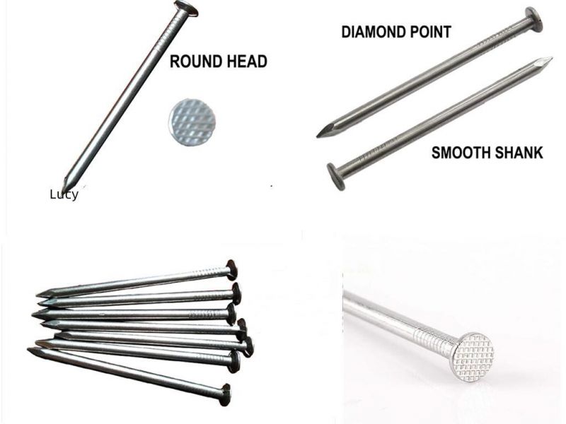 2.5 Inch Common Steel Nail Cheap Common Nail for Building