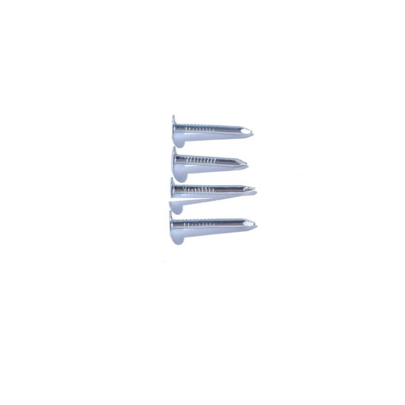 Flat Head Roofing Nails Galvanized Cupper Ceiling Nails
