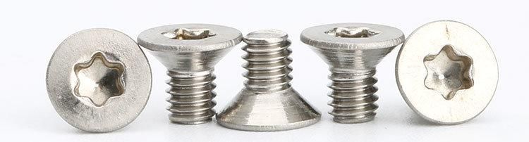 Mini Stainless Steel Ss 304 Flat Countersunk Phillips Csk Screw