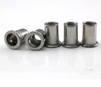 Stainless Steel Flat Head Riveted Nuts Rivet Nut