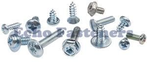 Electronic Screw