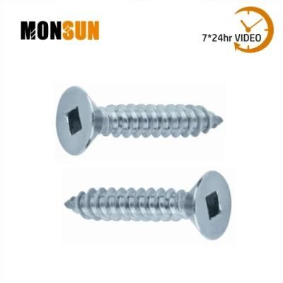 Square-Phillips Drive Countersunk Head Self-Tapping Screws/Tornillos for Metal