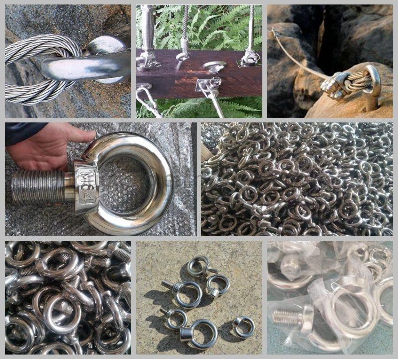 Stainless Steel /Galvanized Steel DIN580 Lifting Eye Bolt with Metric Thread
