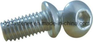 Button Head Hex Socket Screws (CH-SCREW-061)