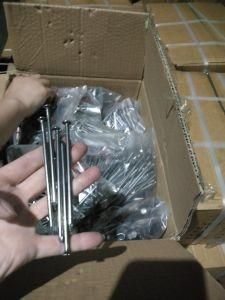 Made in China Q195 Iron Wire Nail 1kg Packet