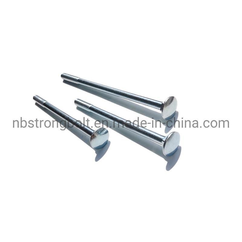 Mushroom Head Square Neck Bolt with Zinc