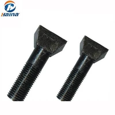 Customized Black Square Head T Type Bolts/T Bolts/T-Bolt