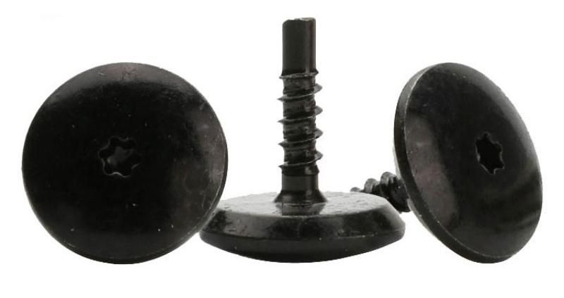 Special Black Oxide Self Tapping T6 Torx Socket Head Screw