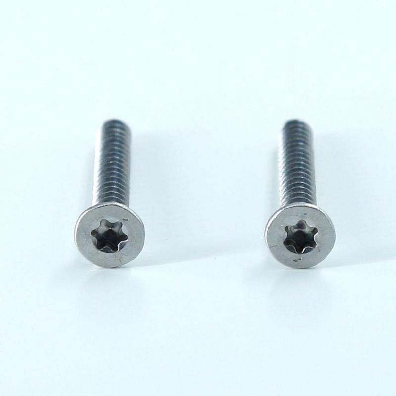 SS304/SS316 Torx Drive Flat Head Self Tapping Screw