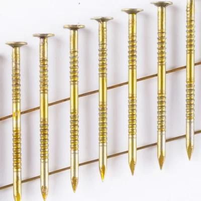 Zinc Coated Screw Shank Coil Nails for Pallet