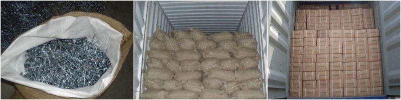 Good Quality Ans Hot Sale for The Roofing Nails