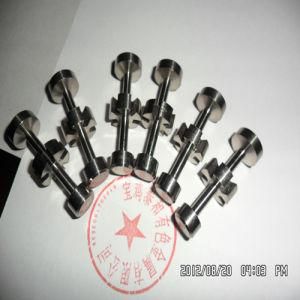 Gr2 Titanium Smoke Nail