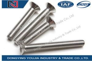GB70.3 Stainless Steel Hexagon Socket Countersunk Flat Cap Head Screw