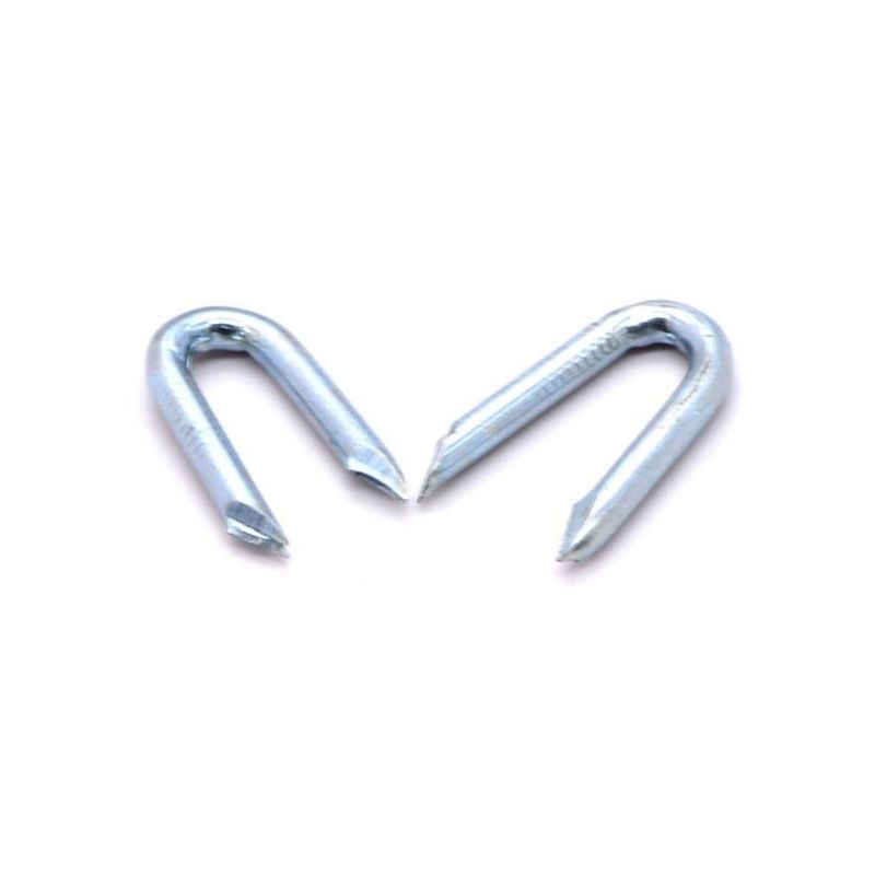 Laos Vietnam Philippines Singapore Market/U Stype Nails Galvanized with Long and Short Common Nail