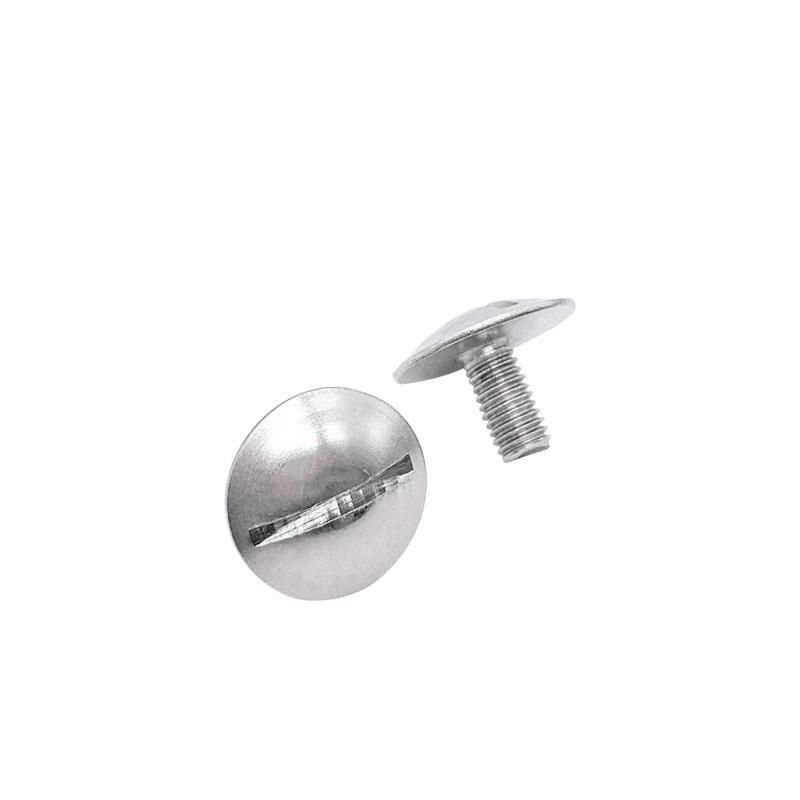JIS B18.6.3 Ss304 Thruss Head Screw with Slot