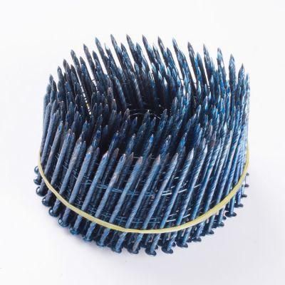 Screw Shank Coil Nails Supplier