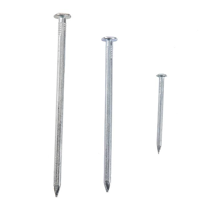 Myanmar Thailand Laos Vietnam Philippines Singapore Marketgalvanized Steel Square Boat Nails for Ship