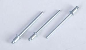 Factory a Large Number of Export Open End Blind Rivet