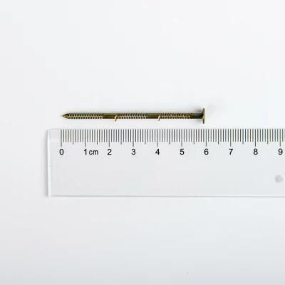 Good Quality 2 1/2 Inch Coil Nail with Pallet Packaging