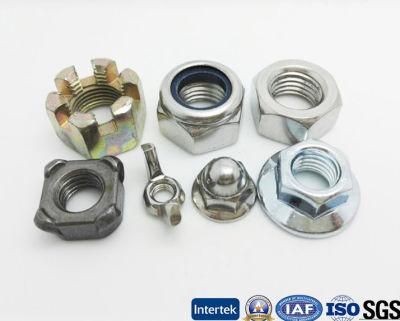 Carbon Steel Stainless Steel Wheel Nut, T Nut, Square Nut, Welding Nut, Flang Nut, Spring Nut