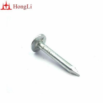 Big Head Galvanized Roofing Nails 1 1/4&quot;X11g Cupper Nail or Clout Nails with Best Quality