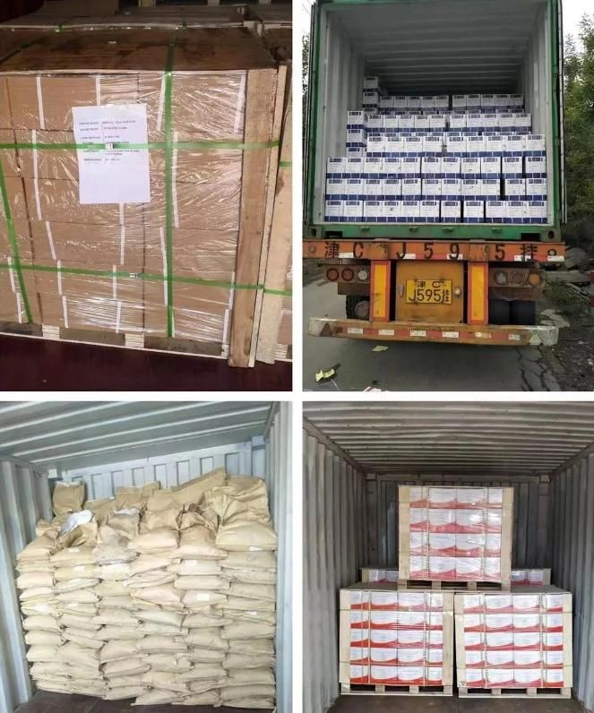 Double Pozi Chipboard Screws with Good Quality