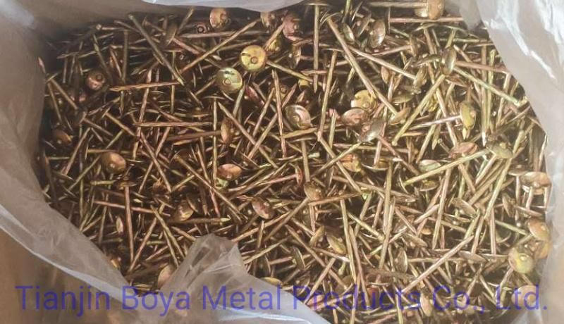 Factory Manufactured Cheap Price 3.125kg/Box X 8boxes/CTN 10bwgx2 1/2" 12bwgx2" Galvanized Roofing Nails with Smooth Shank Umbrella Head for Africa Market