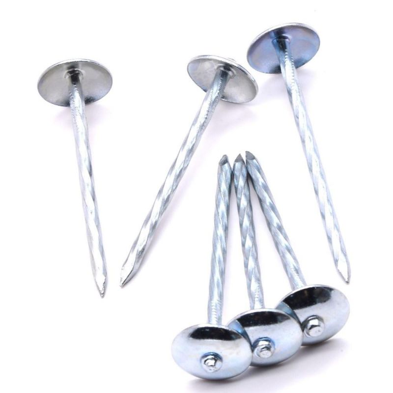 Nigeria Angola Zambia Namibia Market/Roofing Umbrella Nails Twisted Roof Nail Colorful Roofing Nails