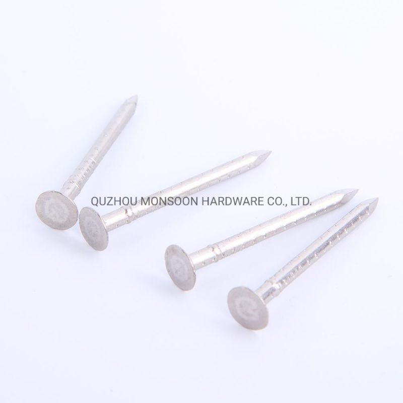 Stainless Steel Plain Flat Head Clout Shank Nails