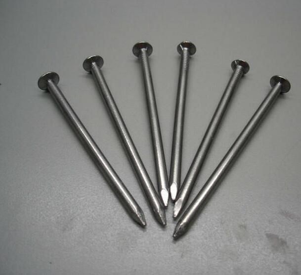 Factory OEM Common Galvanized Iron Polished Nail